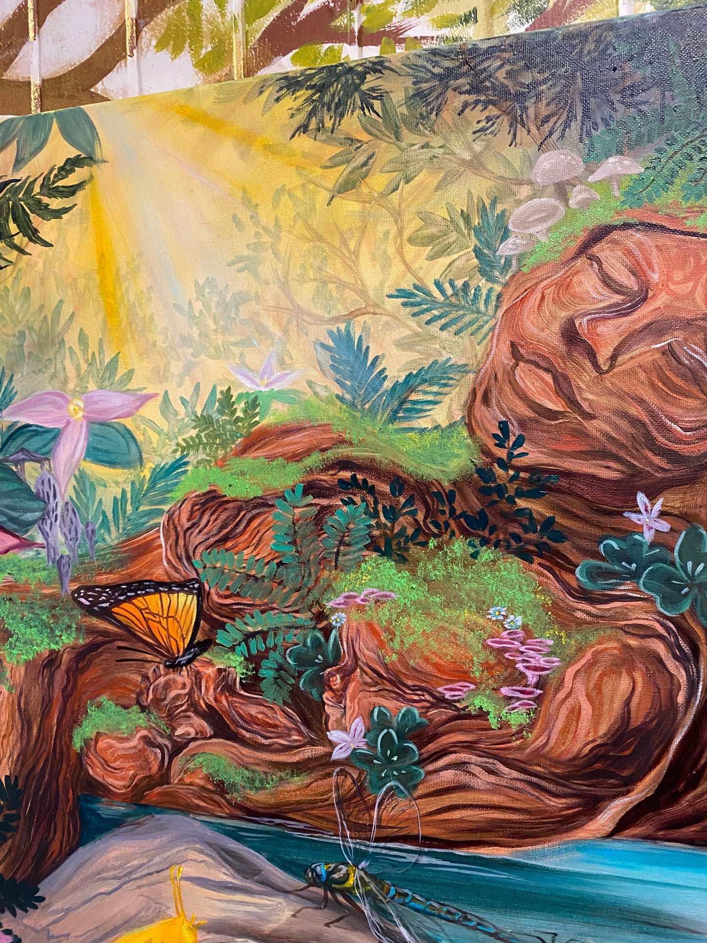 Redwood Mama